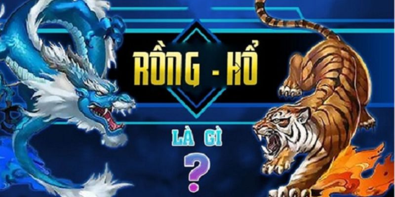 Rồng Hổ là gì: Khái niệm cơ bản và lịch sử